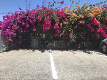 Holiday Home for 8 People in Fremantle City, Perth, Photo 1