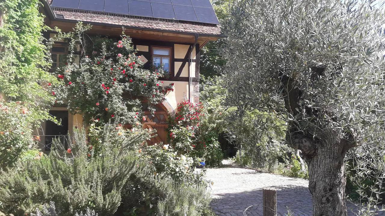 Appartamento vacanze a Odenwald a partire da 87€ a notte