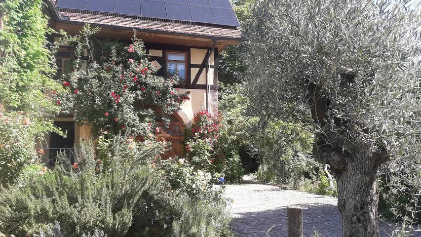 Ferienwohnung für 4 Personen, mit Garten in Main-Odenwald