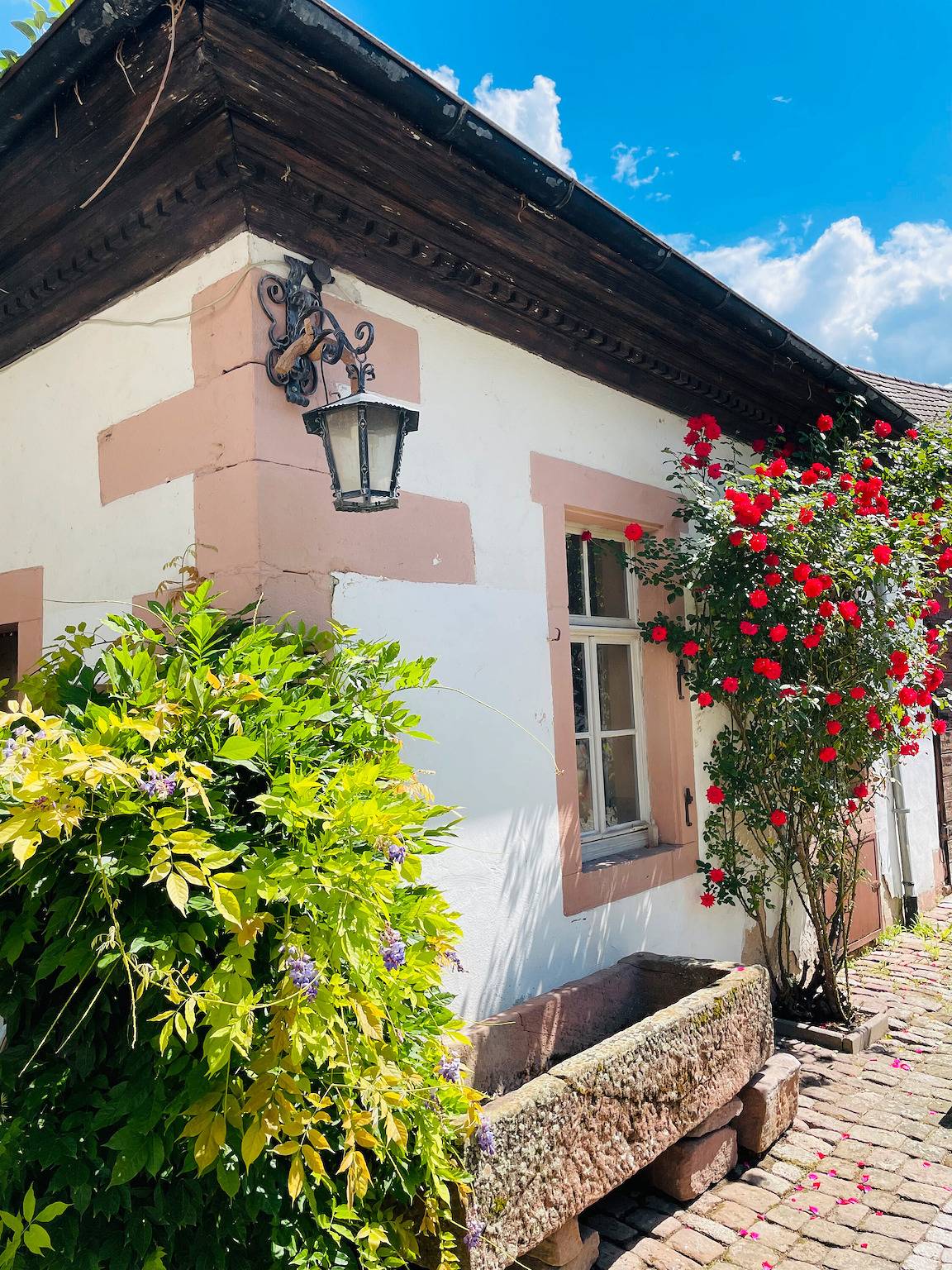 Ganze Wohnung, Apartment 'Altes Kutschhaus' mit Bergblick, Wlan und Klimaanlage in Gernsbach, Nordschwarzwald
