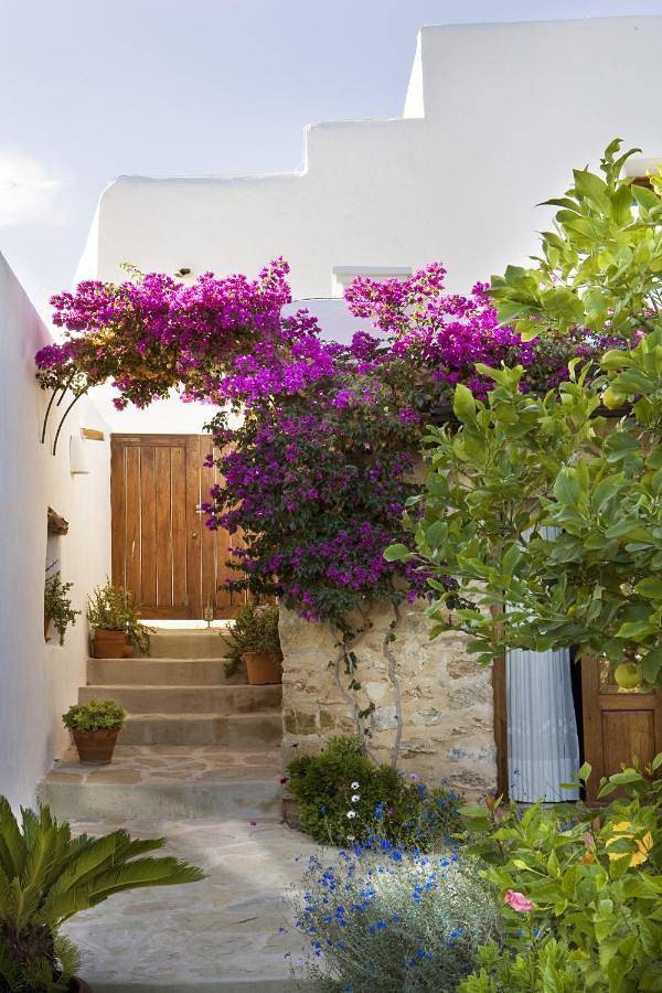 Hotel für 2 Personen, mit Terrasse und Garten sowie Pool und Ausblick in St Miquel de Balansat - 4