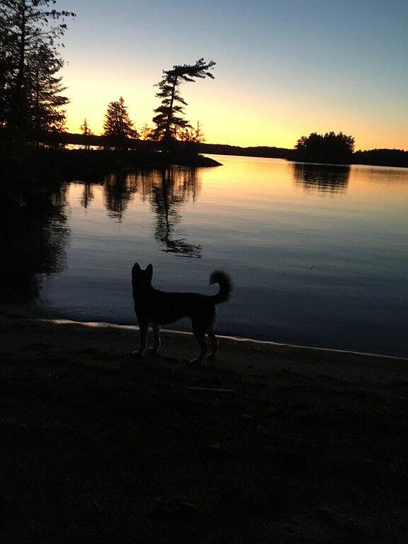 Lake Muskoka Private Island! 13 Schlafzimmer! 6 Strände! Fitnessstudio! Tennisplatz! in Muskoka