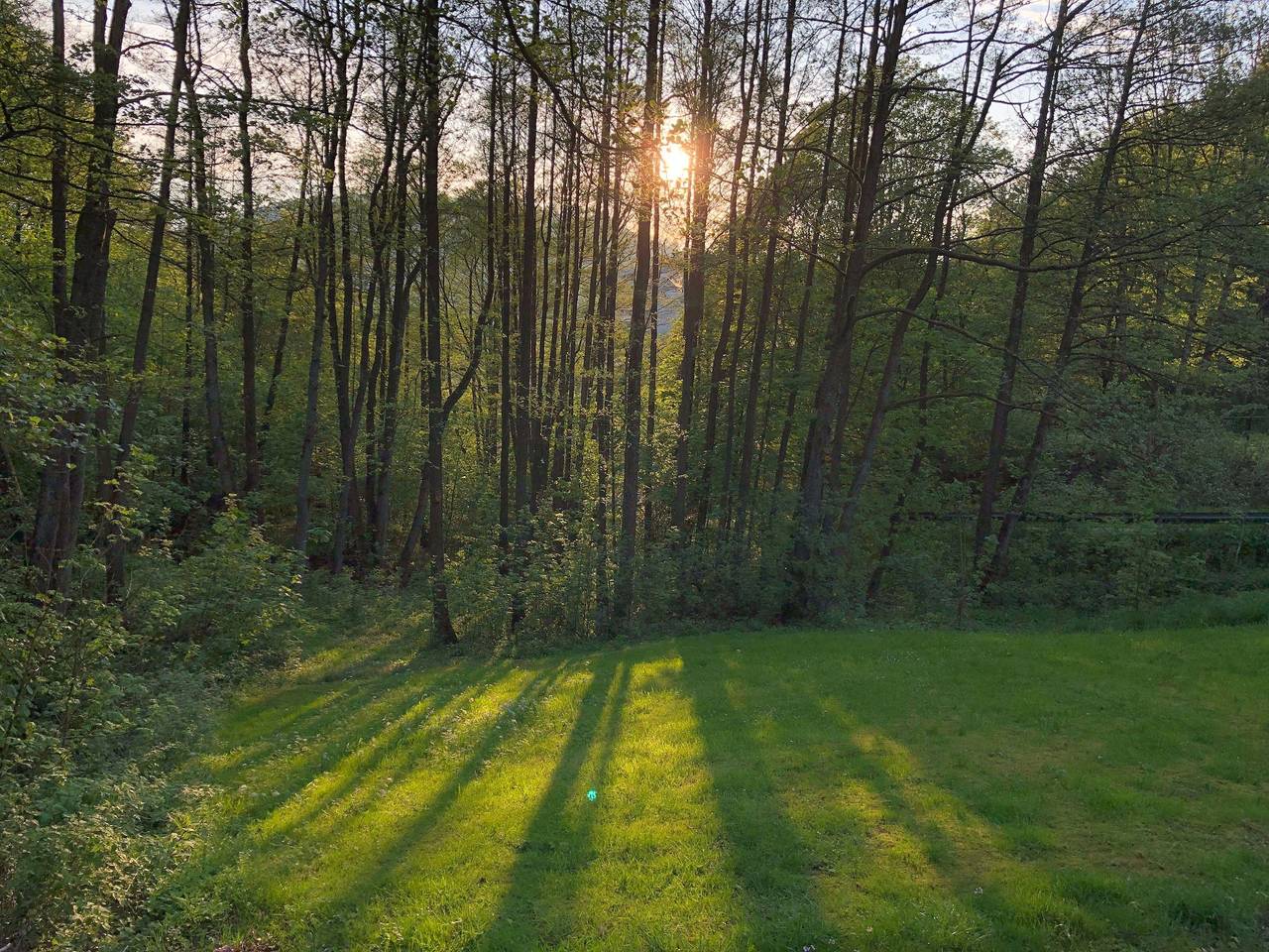 Ferienchalet Flößwehrtal in Bad Lauterberg, Harzvorland