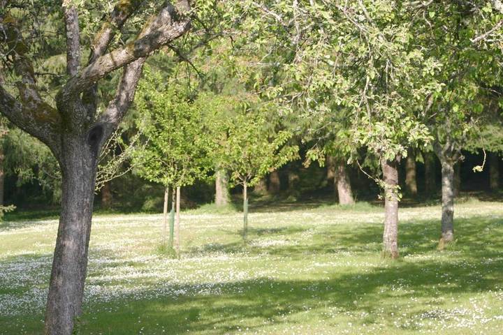 Location de vacances pour 3 personnes, avec piscine ainsi que vue et jardin à Chailles - 4