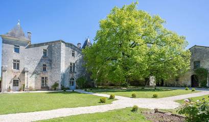 Château pour 15 personnes, avec terrasse et jardin en Charente