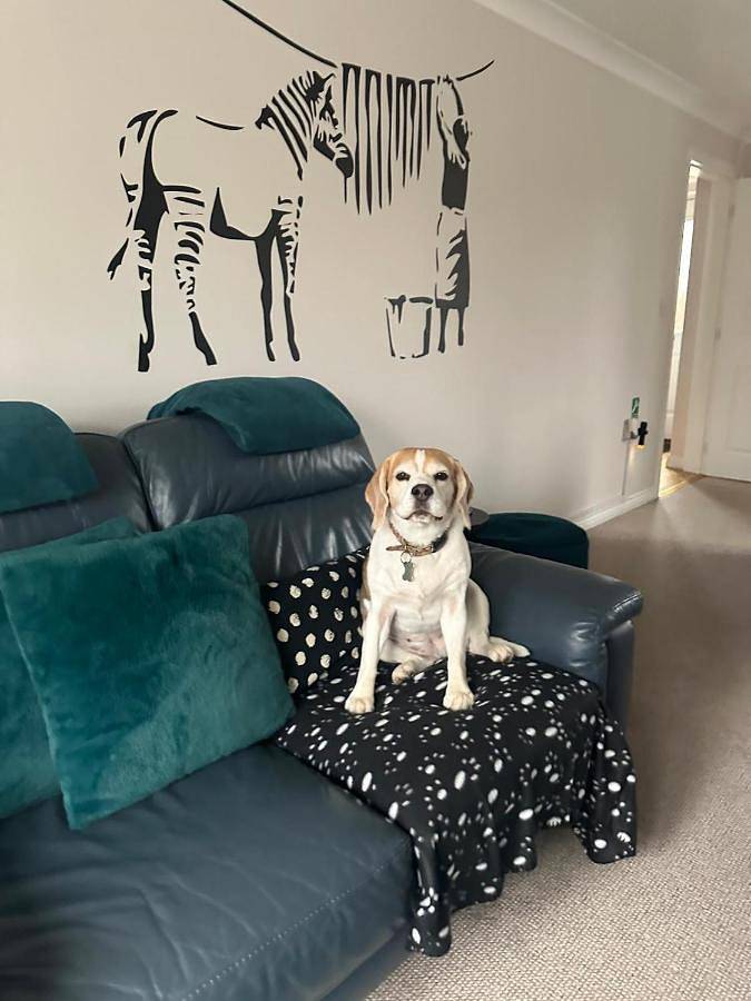 Holiday rental for 10 people, with Terrace and Garden in Hereford