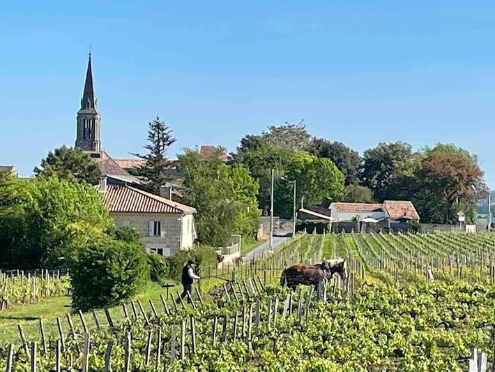 Gîte pour 2 personnes, avec piscine et jardin ainsi que vue et terrasse à Saint-Christophe-des-Bardes