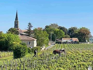 Gîte pour 2 personnes, avec terrasse et vue ainsi que piscine et jardin à Saint-Christophe-des-Bardes