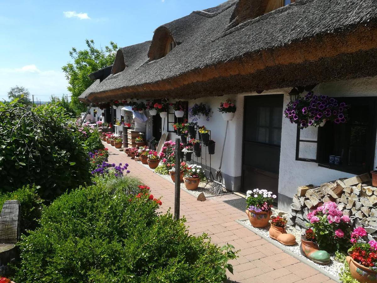 Ganze Wohnung, Nádasház in Gyenesdias, Balaton Hochland Nationalpark