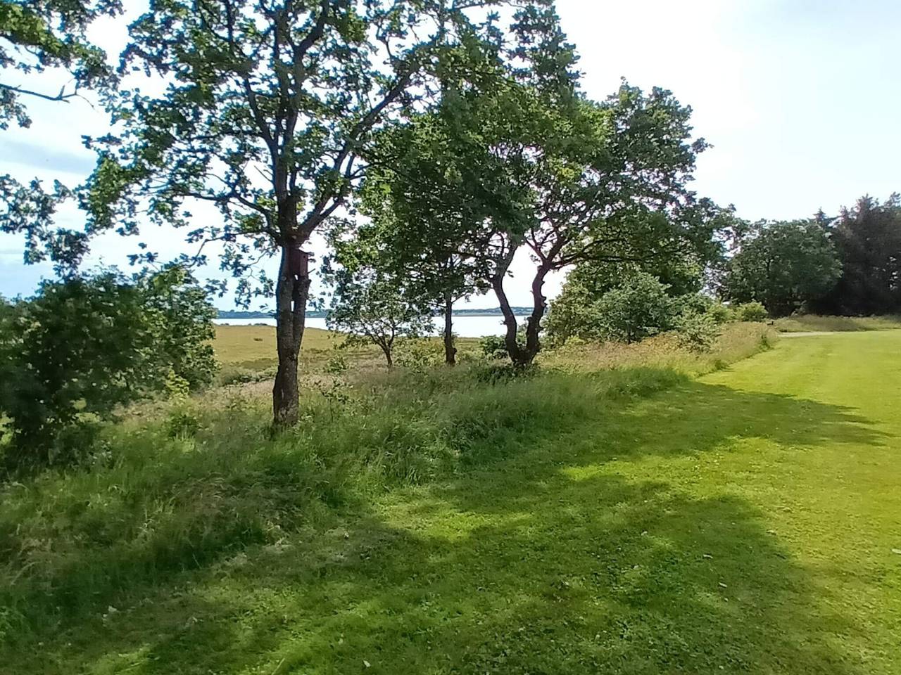8 Personen Ferienhaus in Skals in Lynderup, Limfjord in Westjütland