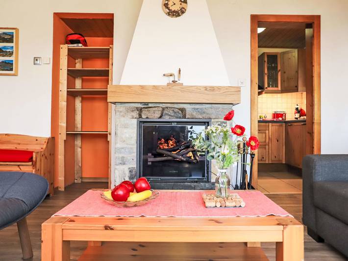 Ferienhaus für 6 Personen, mit Garten, mit Haustier in Nendaz - 2