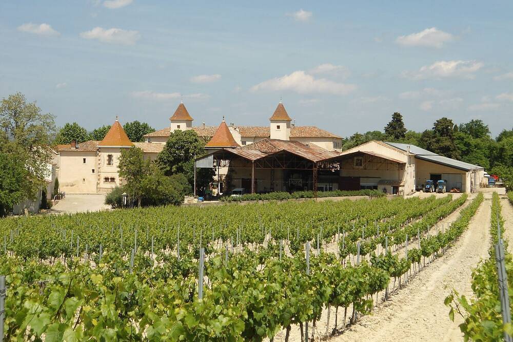 Tolles Haus im Herzen des Weinbergs in Murviel-lès-Béziers, Mittelmeerküste (Frankreich)