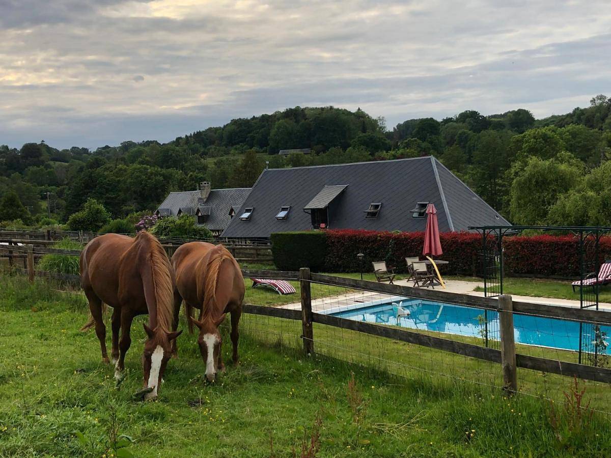 Large Double Room in Saint-Pierre-en-Pays-d'Auge, Région de Lisieux