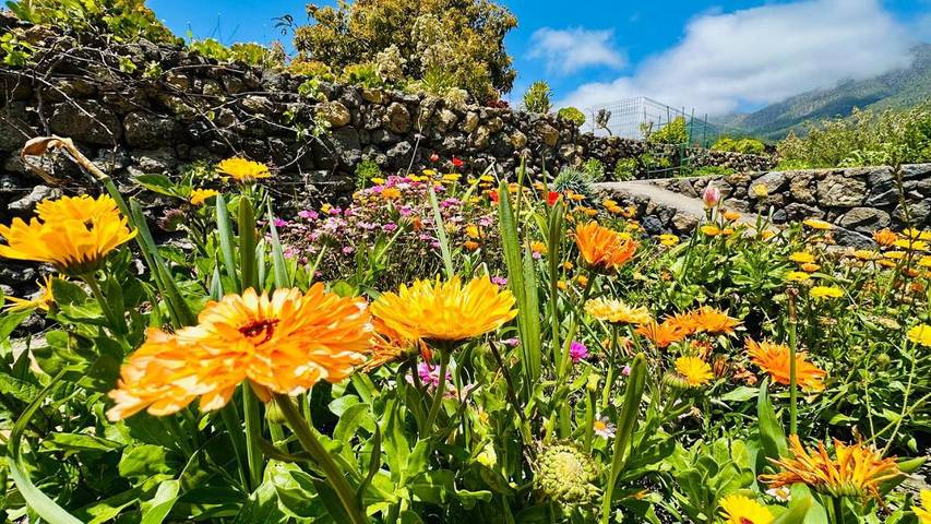 Casa rural para 4 personas, con jardín y vistas en El Paso - 2