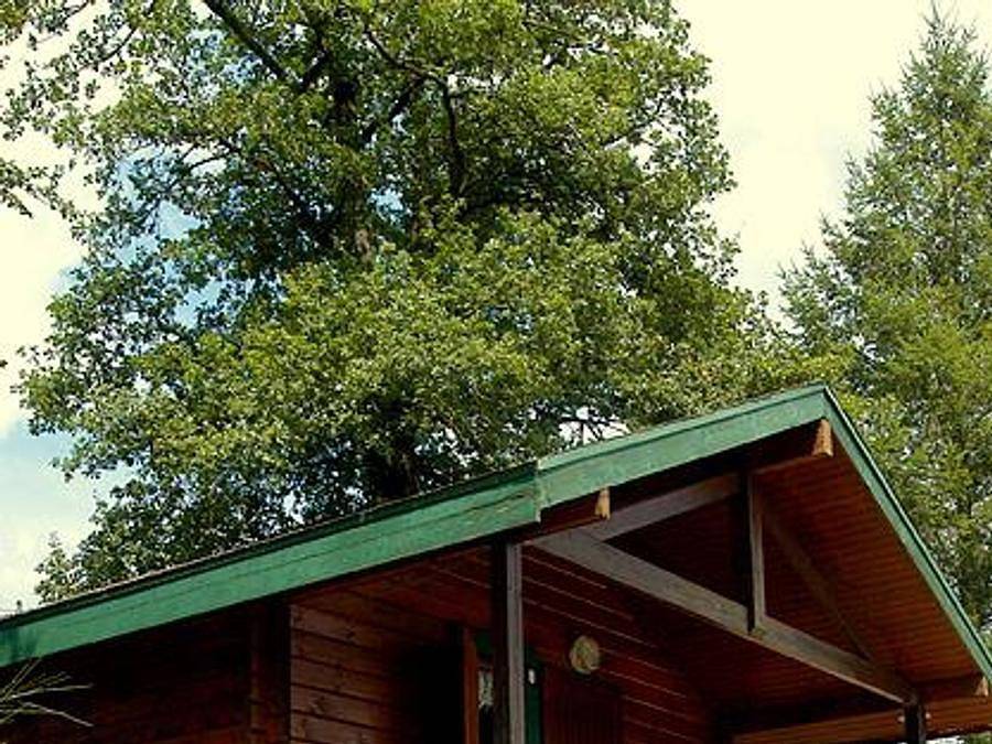 Camping Pont du Dognon - Chalet 4 personas - Isabelle sin instalaciones sanitarias in Saint-Laurent-les-Églises, Región de Limoges