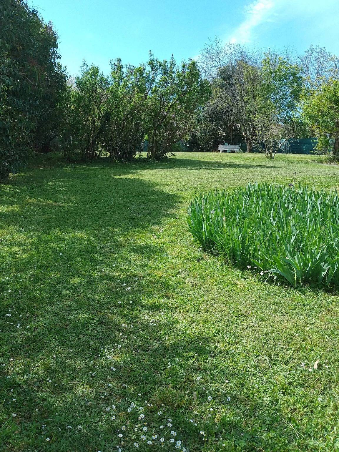 Maison spacieuse à Vic-Fezensac avec jardin in Vic-Fezensac, Gers