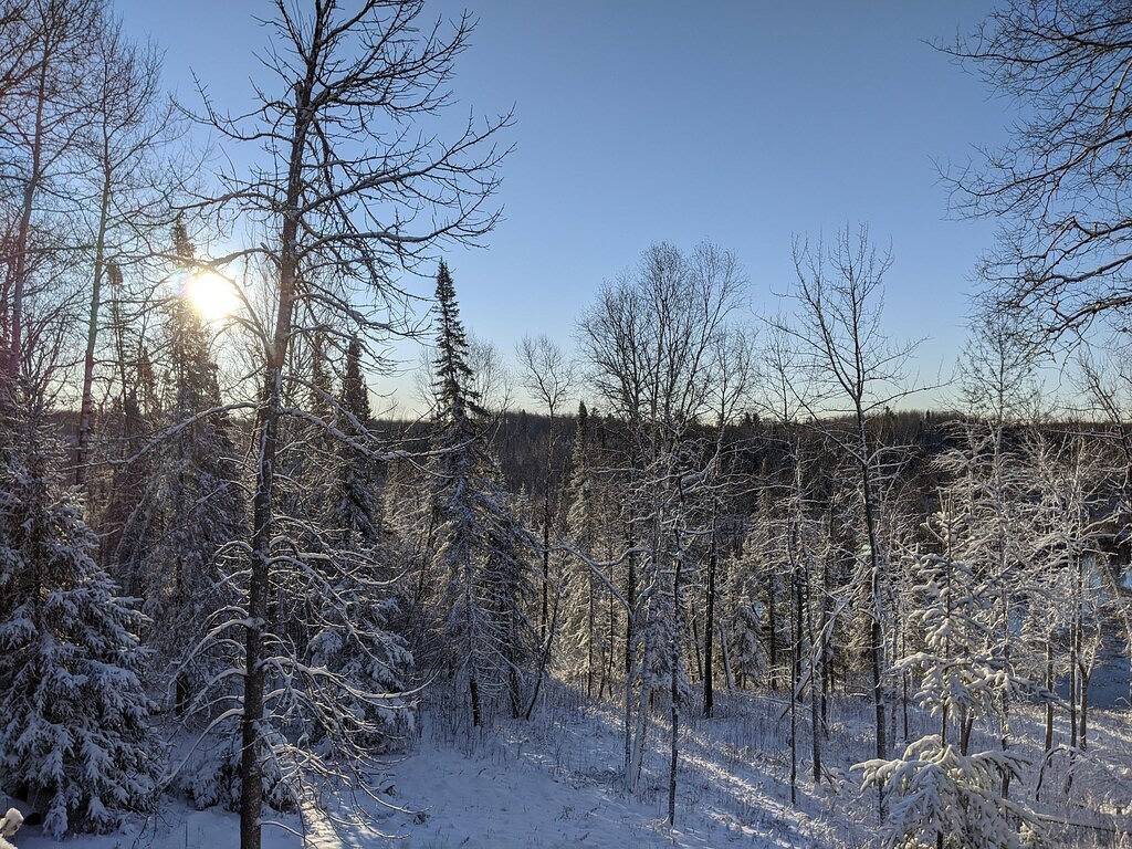 Woodsy Personal Retreat Cabin - \"Gratitude\" in Oberer See