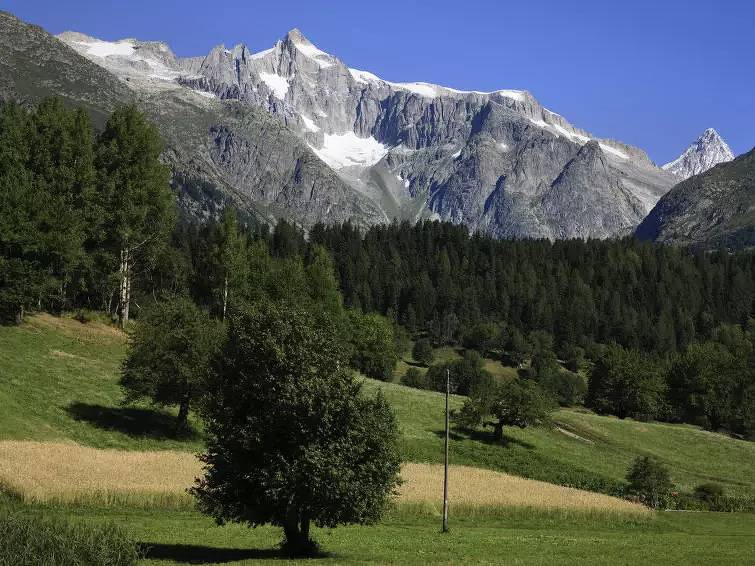 Ganze Wohnung, 3 Pièces 5 Personnes in Ernen, Aletsch Arena
