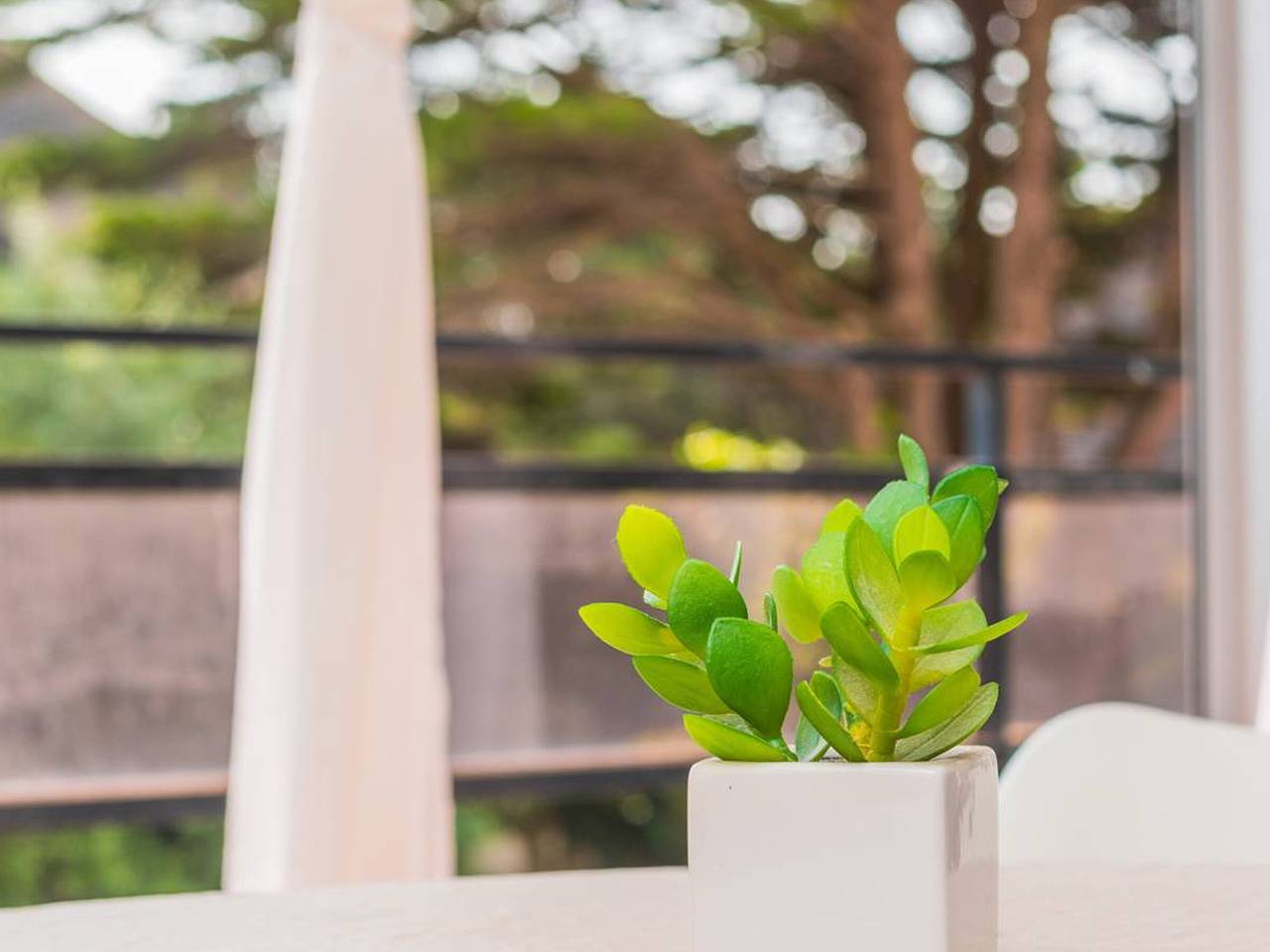 Ganzes Studio, Modernes Studio mit Schlafsofa in Le Touquet in Le Touquet-Paris-Plage, Montreuil und Umgebung