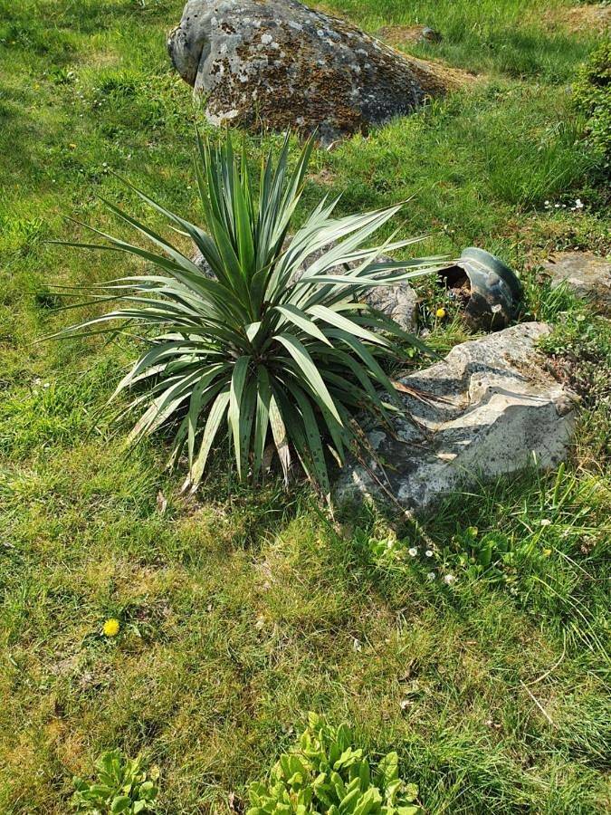 Location de vacances pour 6 personnes, avec jardin et piscine à Moigny-sur-École - 2