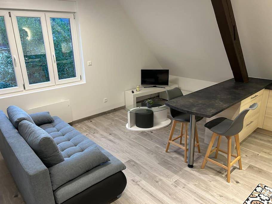 Appartement entier, One-Bedroom Apartment in Ribeauvillé, Parc naturel régional des Ballons des Vosges