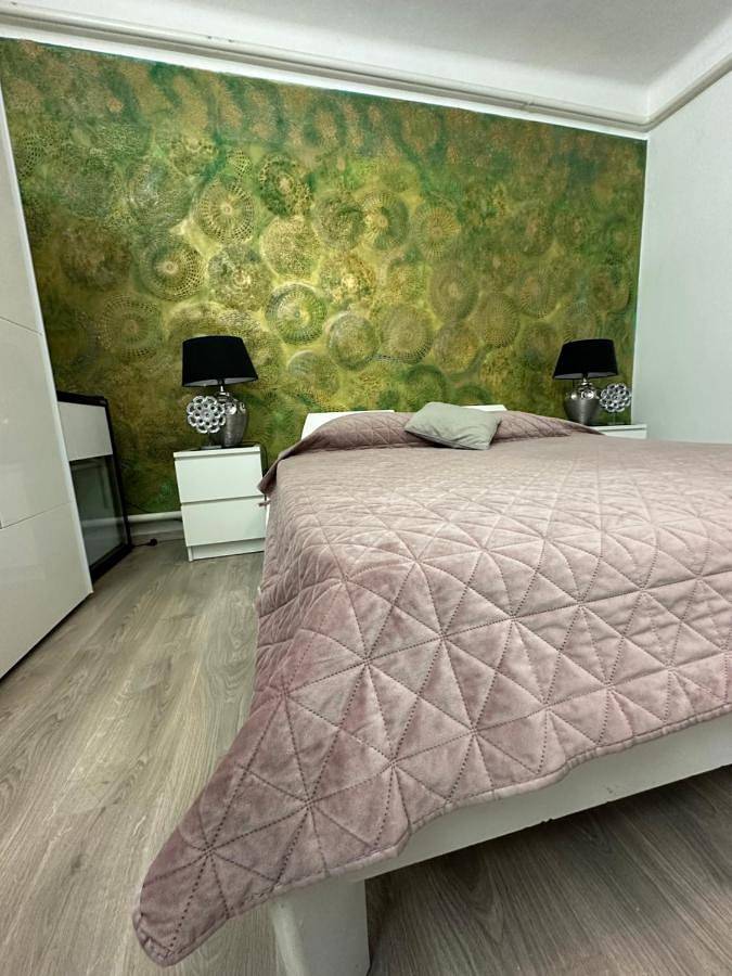 Chambre d’hôte pour 2 personnes, avec vue et jardin à Vecsés - 4