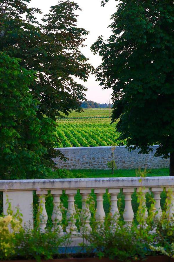 Location de vacances pour 8 personnes, avec vue et piscine ainsi que vue sur le lac et jardin, animaux acceptés à Labarde - 4