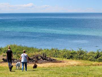 Ferienpark für 6 Personen in Smidstrup, Kopenhagen und Umgebung, Bild 1