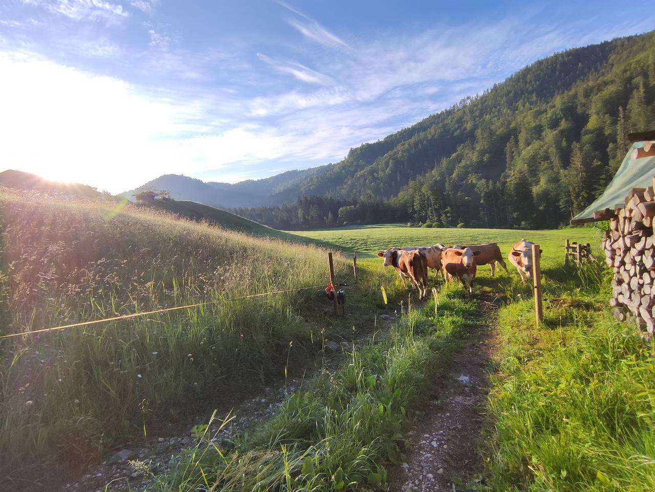 Ganze Ferienwohnung, Eckarthof - Ferienwohnung "Blick Sonntagshorn" in Schneizlreuth, Bayerische Alpen