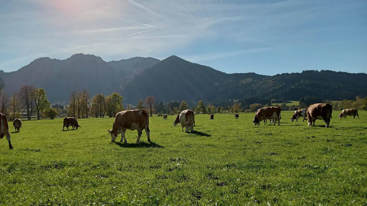 Ganze Ferienwohnung, Ferienwohnung für 4 Personen (75 m²) in Lenggries in Brauneck (Lenggries), Lenggries