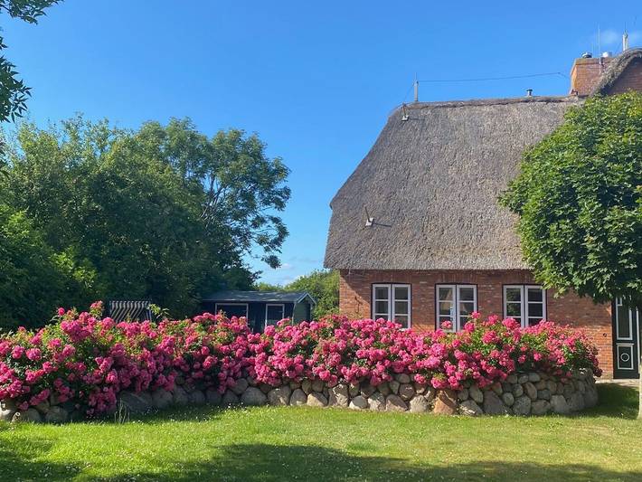 Ferienhaus für 6 Personen, mit Garten, mit Haustier - 1