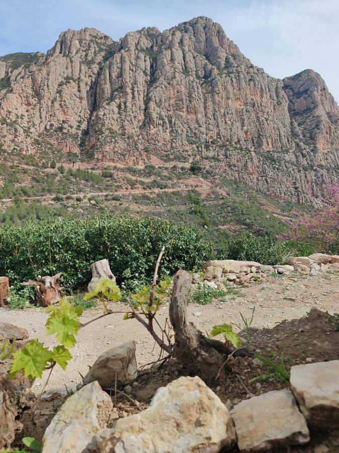 Casa rural para 6 personas, con vistas y jardín en Bajo Llobregat - 3