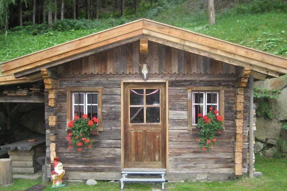 Ganze Wohnung, Ferienwohnung 3 - Balkon - Alberta's Ferienhaus in Heinfels, Osttirol