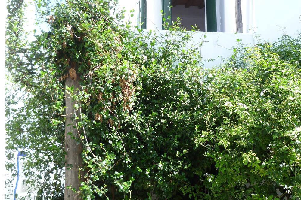 Jasmin Haus im Herzen der Chora von Skyros, bietet Platz für 3 bis 4 Personen in Skyros