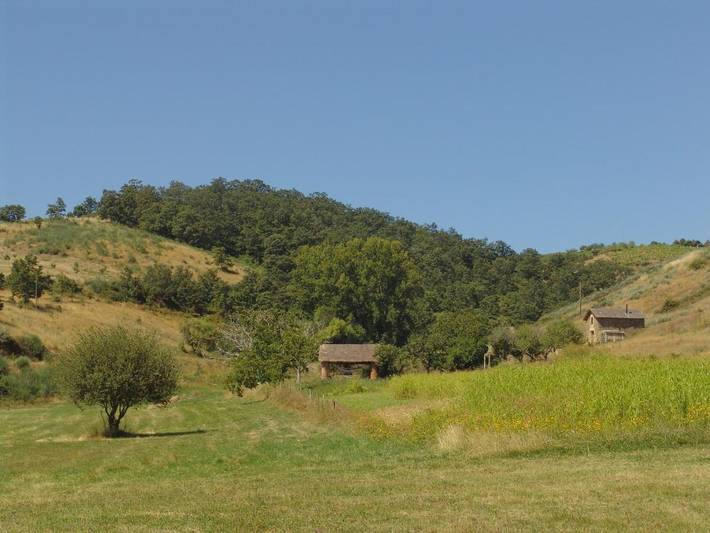 Casa rural para 3 personas, con piscina y terraza además de vistas y jardín en Distrito de Vila Real - 4