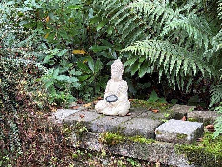 Location de vacances pour 9 personnes, avec vue et jardin, animaux acceptés à Rochehaut - 3