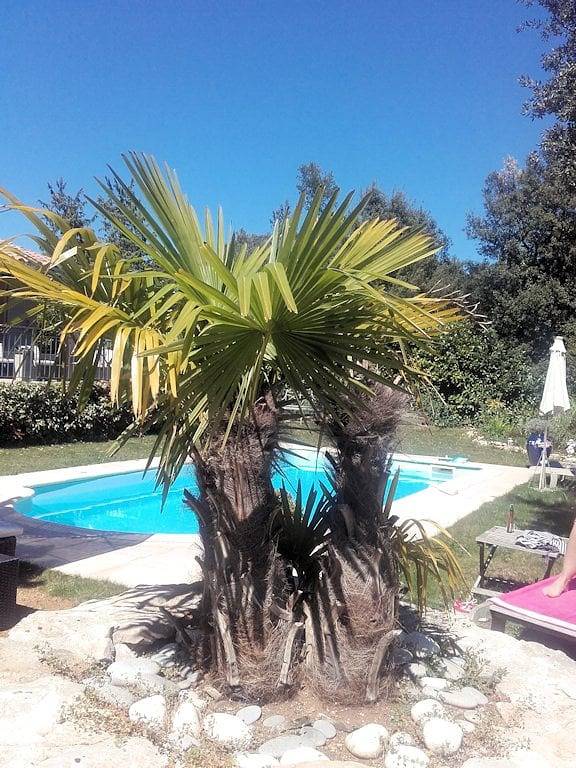 Villa "le Sud" - Chambre Bambou in Sillans-la-Cascade, Région de Brignoles