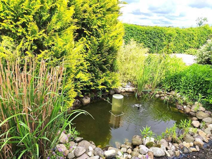Ferienwohnung für 3 Personen, mit Terrasse und Garten in Emden - 2