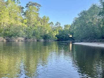 Log Cabin for 6 Guests in Mississippi, USA, Picture 2
