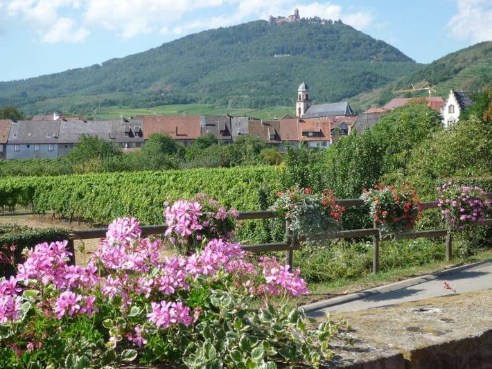 Hôtel pour 4 personnes à Saint-Hippolyte - 3