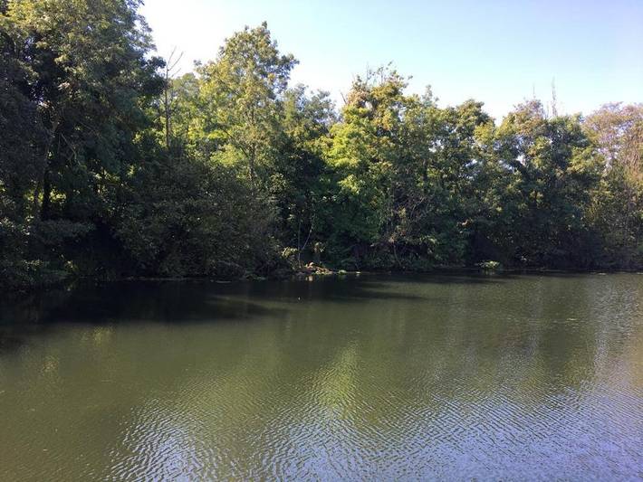 Bateau pour 6 personnes, avec terrasse ainsi que vue sur le lac et vue à Vigneux-sur-Seine - 3