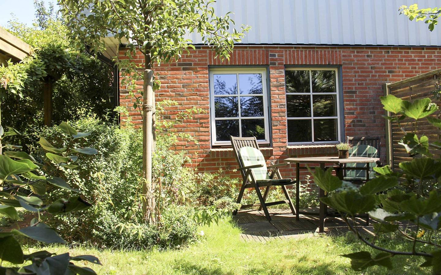 Ganzes Studio, Zaunkönig in St. Peter-Ording, Eiderstedt