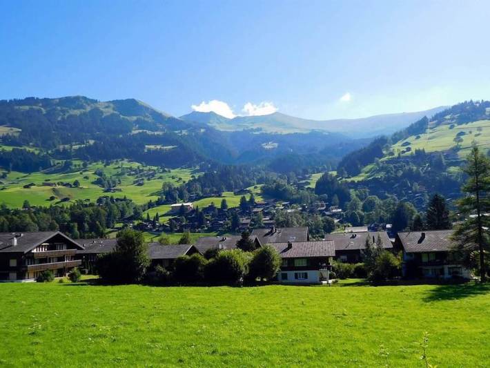 Ganze Wohnung, Amaryllis in Lenk im Simmental, Lenk