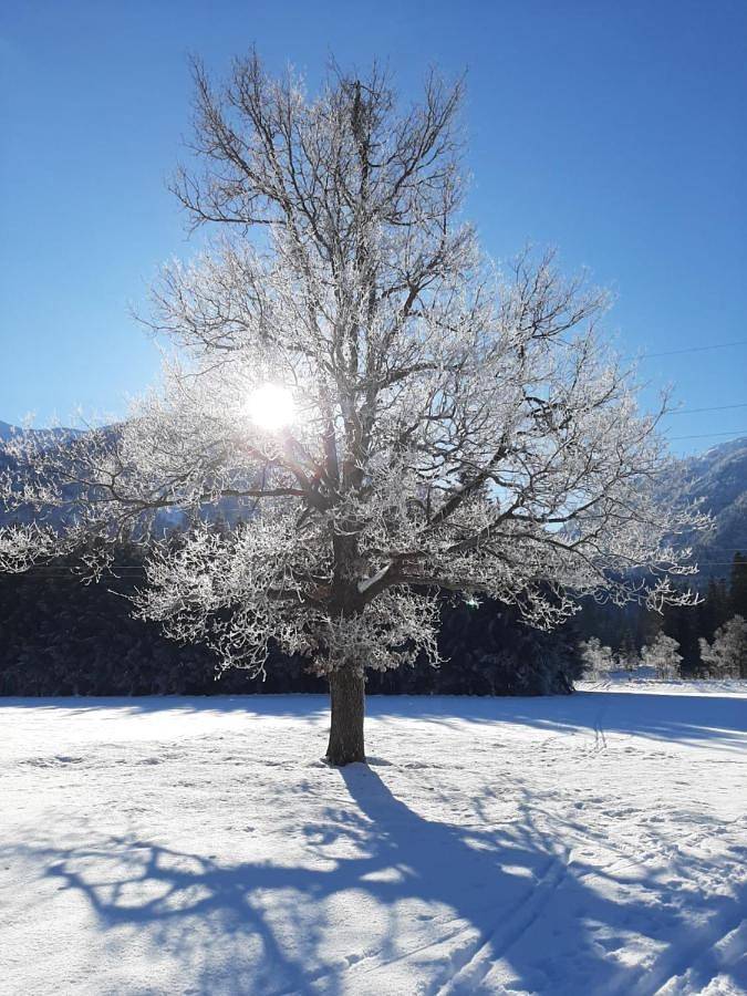 Ganze Wohnung, Standard One-Bedroom Apartment with Balcony in Gailtaler Alpen, Kirchbach