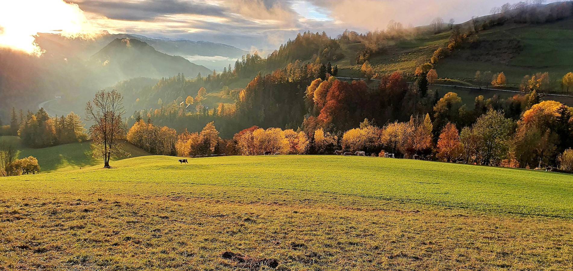 Fehs Sonnenalm 177 in Sonnenalm, Bad Mitterndorf