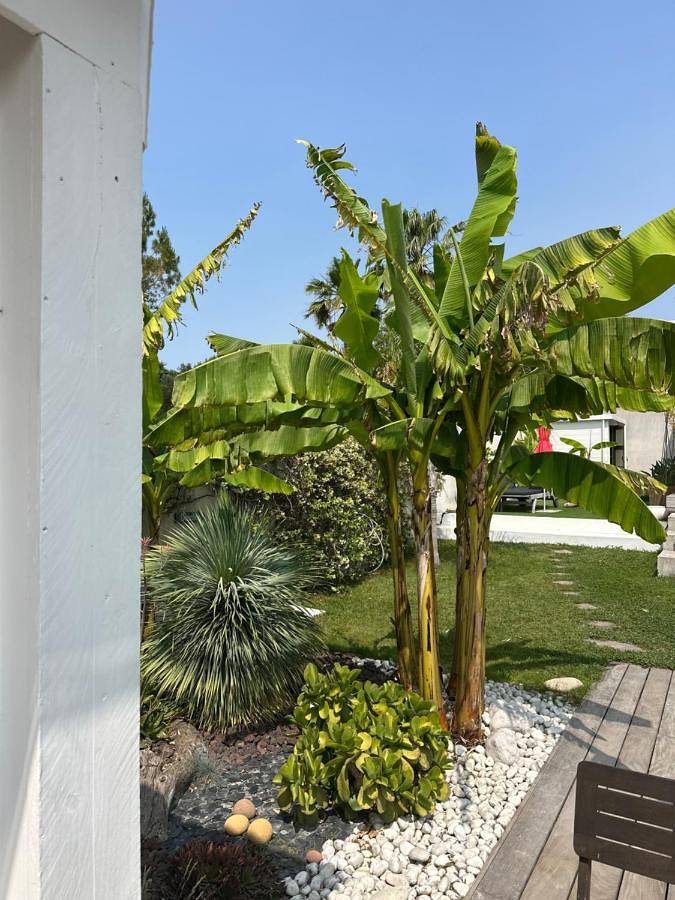 Chambre d’hôte pour 2 personnes, avec piscine et jardin à Cassis - 2