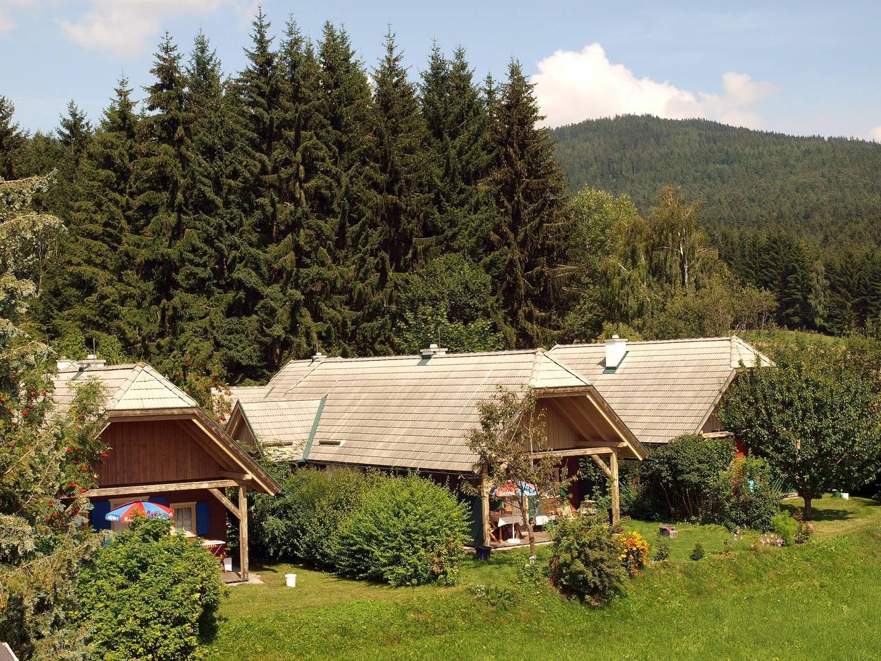 Ferienhaus Typ A in Steirerland