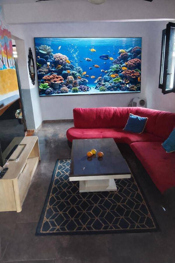 Location de vacances pour 3 personnes, avec piscine et jardin, animaux acceptés dans Plage de Saint-Leu - 3