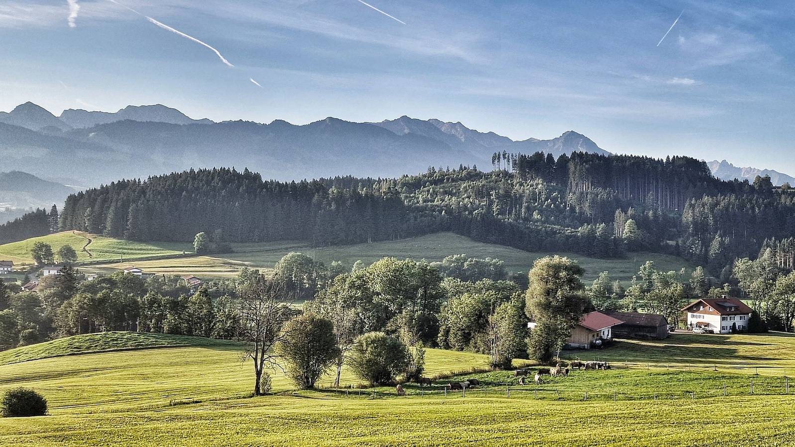 Alpe 44 in Ofterschwang, Bayerisch Schwaben