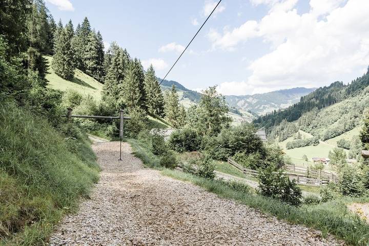 Chalet Almrausch in Hohe Tauern, Großarl